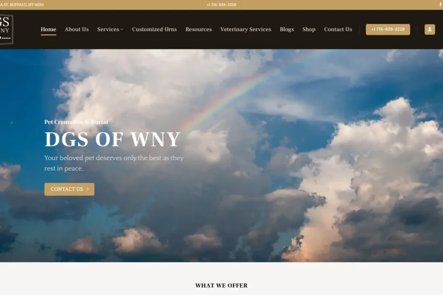 Screenshot of the DGS of WNY website home page