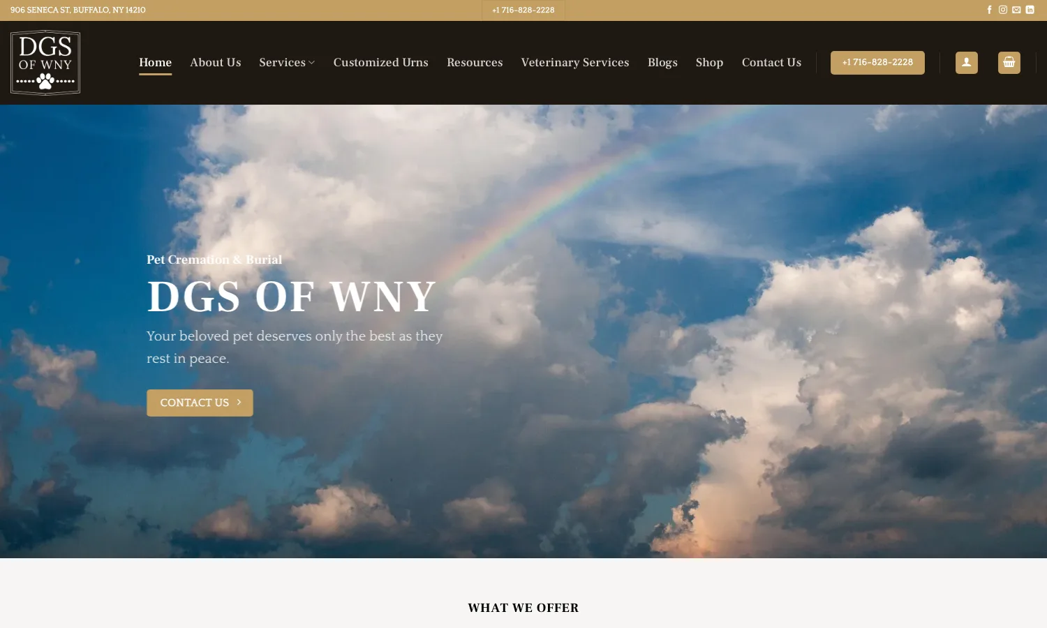 Screenshot of the DGS of WNY website home page